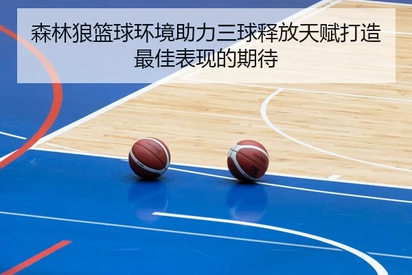 森林狼篮球环境助力三球释放天赋打造最佳表现的期待